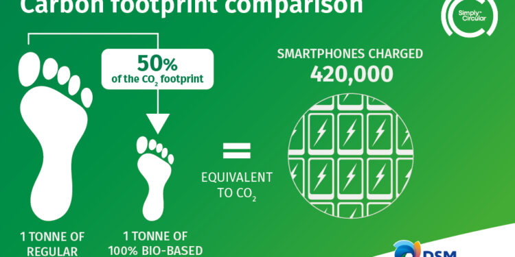 DSM Engineering Materials