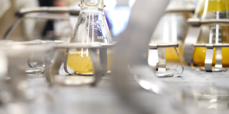 Global Clean-Tech Majors Bioweg and Ginkgo Bioworks to Combat Microplastic Pollution with Bio-Based Materials