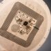 Making its debut at LOPEC 2023, Covestro will showcase TPU and polycarbonate films for printed electronics.