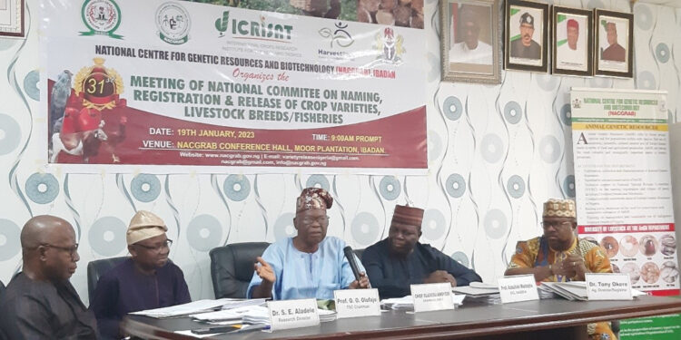 Three Sorghum and Three Pearl Millet Varieties Developed by ICRISAT in Nigeria.