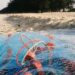 From the Sea into the Tunnel: KraussMaffei Customer Oldroyd Uses 100% Sea Plastics for its Products