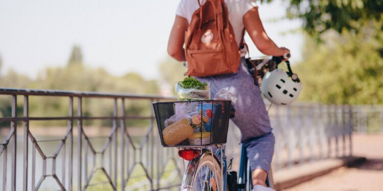 Borealis introduce the Bornewables line of Queo, a range of plastomers and elastomers based on renewable feedstock