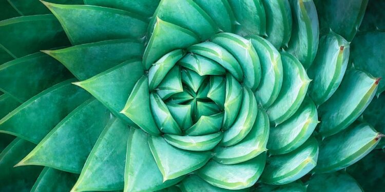 Clariant’s science of sustainable beauty.