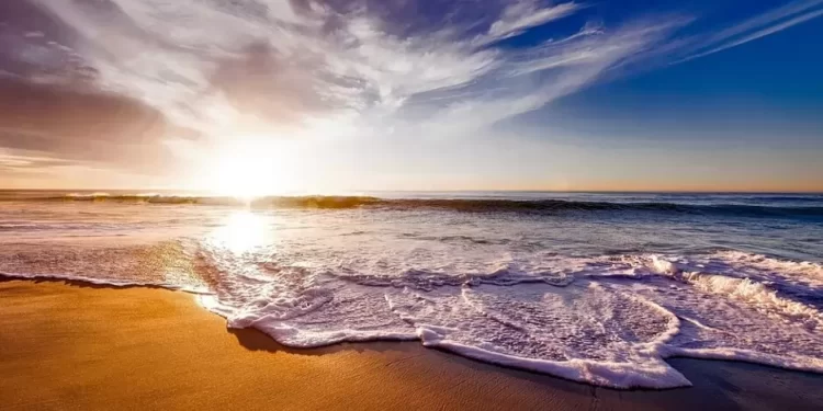 What began as an individual’s battle against plastic soon became a vast movement for politicians and businessmen to forge a new pact between humans and nature.
