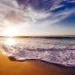 What began as an individual’s battle against plastic soon became a vast movement for politicians and businessmen to forge a new pact between humans and nature.
