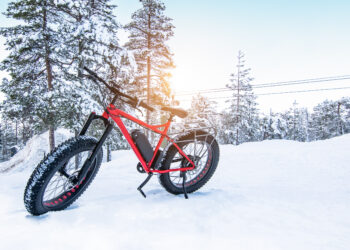 SABIC’s new LNP CRX copolymer resins give customers in the mobility and industrial sectors new material options that can resist both harsh chemicals and challenging environmental conditions. Potential applications for these new grades include durable components such as electric vehicle charging infrastructure, and EV and e-bike batteries.