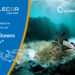 Molecor Joins the Cause to Protect Marine Ecosystems on “World Oceans Day” Thanks to the Operation Clean Sweep Programme.