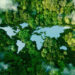 Krones Nominated for the German Sustainability Award