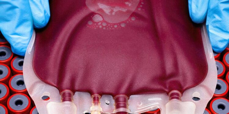 Building A Better Blood Bag.