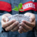 Mesamoll Plasticizer From LANXESS Now Even More Sustainable