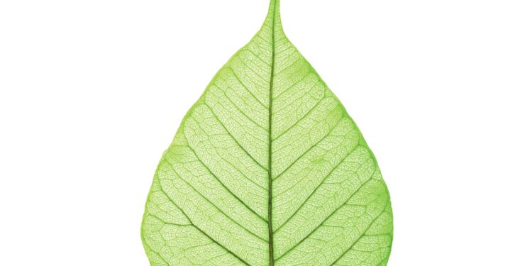 SABIC is now offering bio-based versions of all NORYL, Flexible NORYL, NORYL GTX and NORYL PPX resin grades to help customers meet increasingly rigorous sustainability goals.