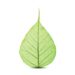 SABIC is now offering bio-based versions of all NORYL, Flexible NORYL, NORYL GTX and NORYL PPX resin grades to help customers meet increasingly rigorous sustainability goals.