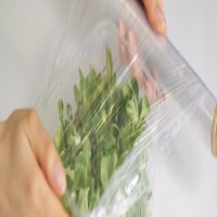 Sustainable Alternative To LDPE: Breakthrough In Plastic Recycling