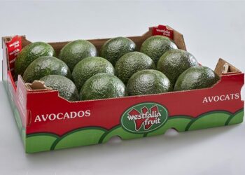 Westfalia Fruit Trials Exclusive Technology Targeting Food Safety and Sustainability