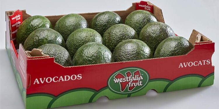 Westfalia Fruit Trials Exclusive Technology Targeting Food Safety and Sustainability