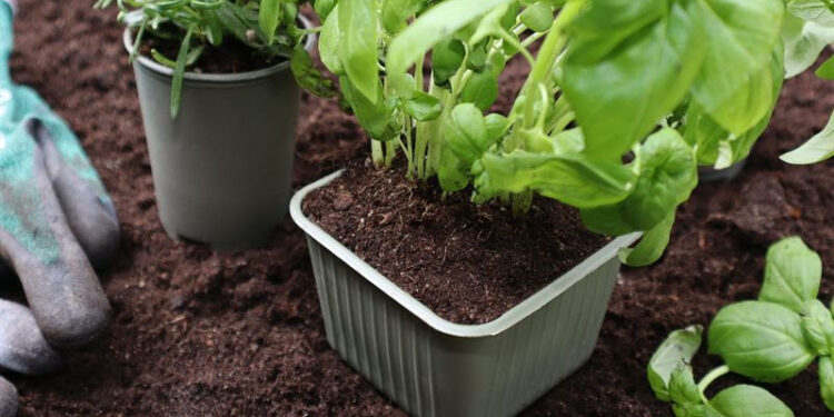 Bioplastics Manufacturer Gaia Biomaterials Secure $5 Million Rights Issue.
