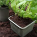 Bioplastics Manufacturer Gaia Biomaterials Secure $5 Million Rights Issue.