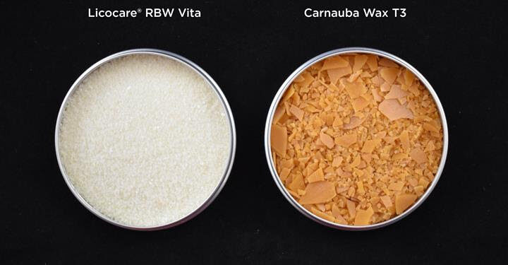 Did You Know That Rice Bran Waxes Can Replace Carnauba Waxes?
