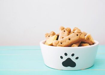 Siegwerk has Developed Inline Printable Barrier Coatings