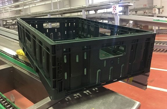 Il Visone Enhances Grape Storage And Sustainability With Tosca’s Reusable Crate
