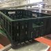 Il Visone Enhances Grape Storage And Sustainability With Tosca’s Reusable Crate