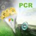 TechnoCompound and RE Plano Strengthen Partnership on Post-Consumer Plastic Recyclates for Automotive Use