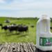 Advancing innovation to enhance efficiency in post consumer recycling processes