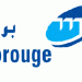 Borouge Achieves Strong Financial Stability In Q1 2026 With $156 Million Profit