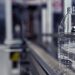 Competek Showcases a Complete Path to Lightweight PET Bottles